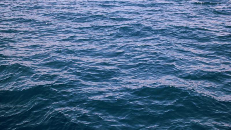 海角社区新闻动态视觉展示